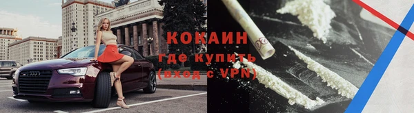 тгк Богданович