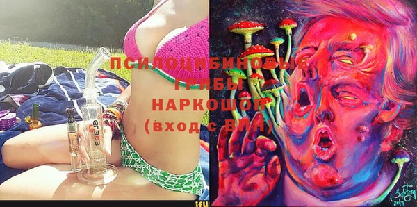 тгк Богданович